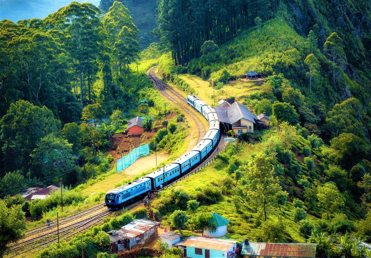 Ooty tea plantations