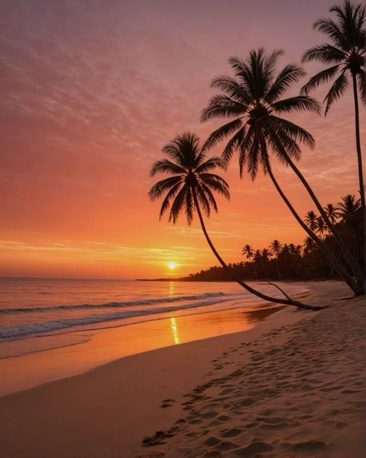 Goa Cruise and Activities