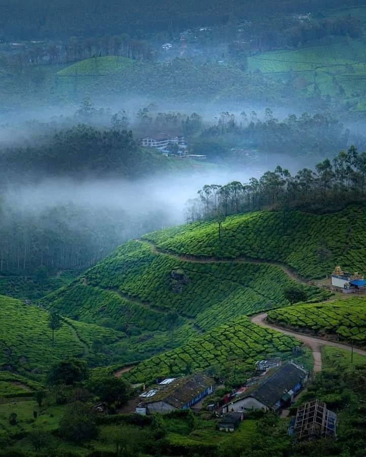 Nilgiris Scenic + Toy Train